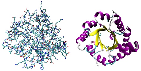 Protein as atoms and abstracted